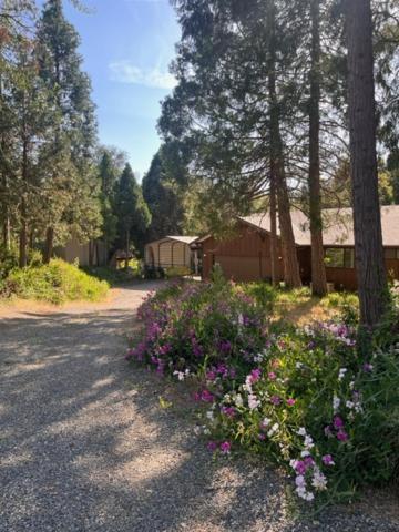 Ponderosa Creekside Retreat Mariposa