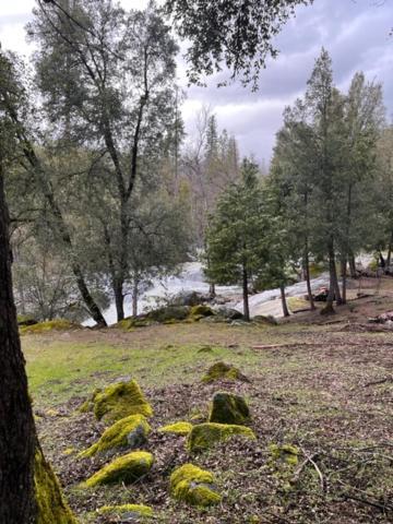 Vakantiehuis Ponderosa Creekside Retreat Mariposa