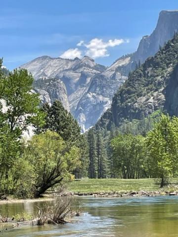 Ponderosa Creekside Retreat Vakantiehuis *