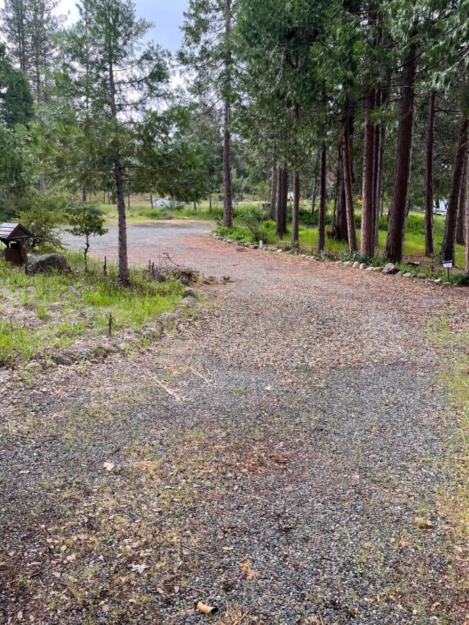 Vakantiehuis Ponderosa Creekside Retreat