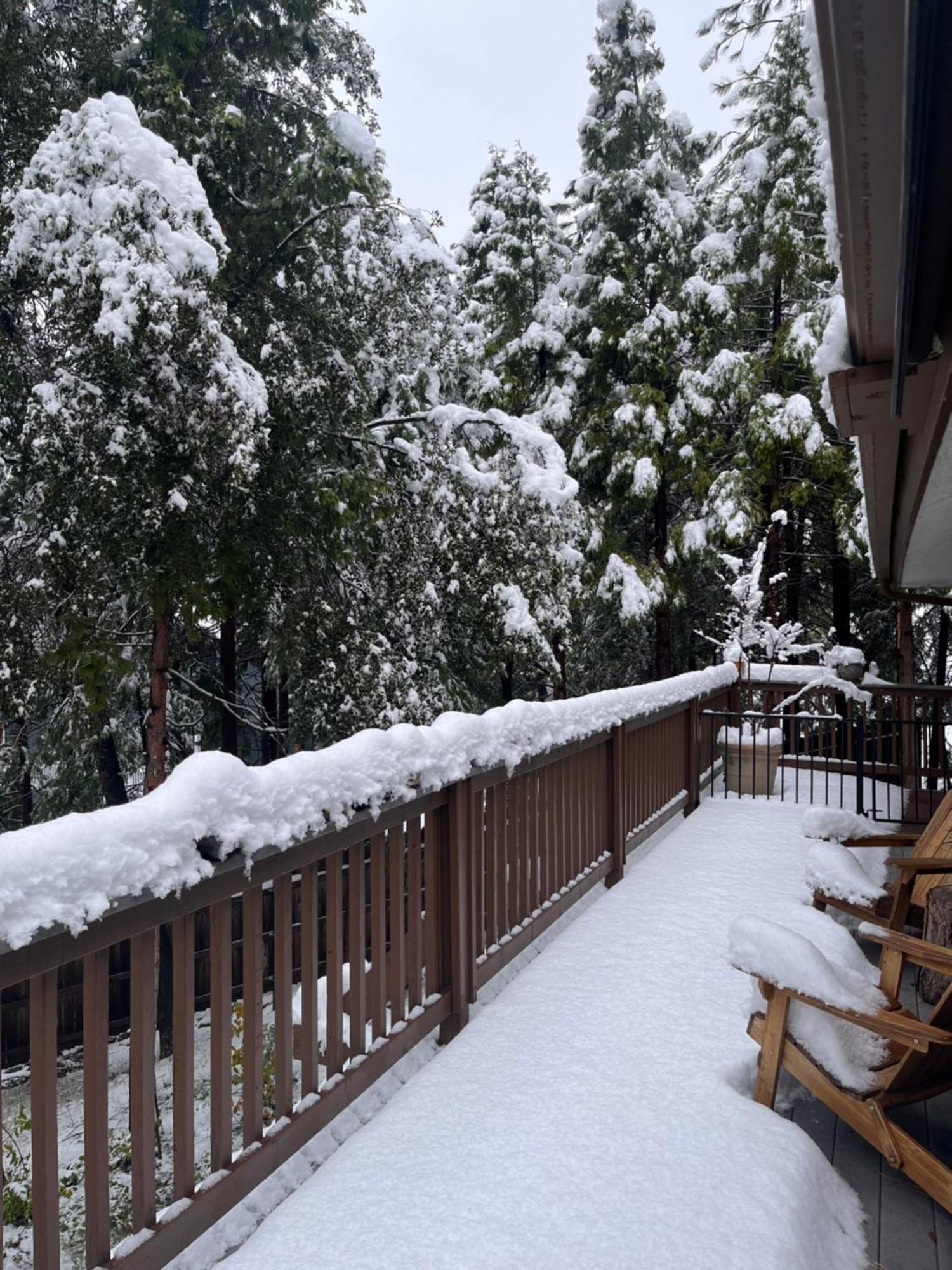 Vakantiehuis Ponderosa Creekside Retreat